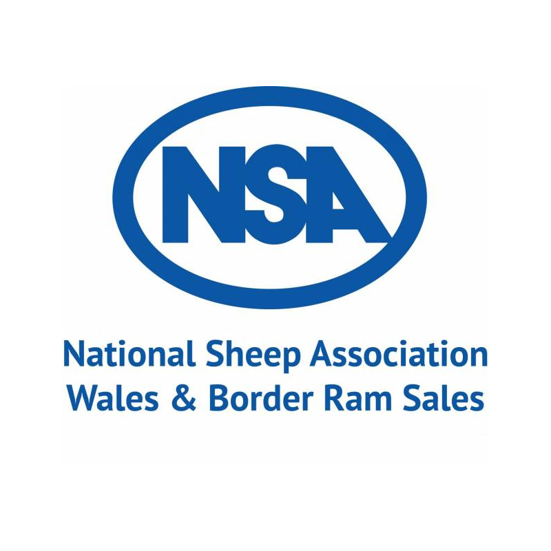 NSA-Ram-Sale